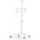 Mozi TTV12-46TW