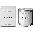 Tangent GC Bougie Parfumée Cedar TGC008 200G