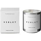 Tangent GC Bougie Parfumée Cedar TGC013 200G