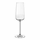 Villeroy & Boch Afina champagneglas 12cl 4-pack