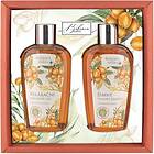 Bohemia Gifts & Cosmetics Herbs Argan Oil Presentförpackning