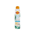 Carroten Dry Mist SPF 50 Coconut Dreams 200ml