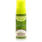 The Somerset Toiletry Co. Tropical Fruits Coconut & Lime Foaming Body Wash 140ml