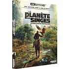 La planète des singes : le nouveau royaume 4k ultra hd