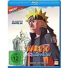 Naruto Shippuden Staffel 24: Sasuke und Naruto (Folgen 690-699)
