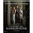 Le Secret Des Marrowbone (Blu-Ray)