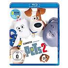 Pets 2 (Blu-Ray)