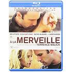 A la merveille (Blu-Ray)