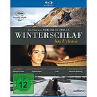 Winterschlaf (Blu-Ray)