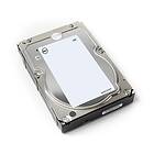 Dell 161-BCGL 8TB