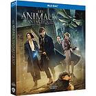 Les Animaux Fantastiques: Les Crimes De Grindelwald (Blu-Ray)