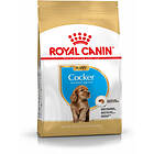 Royal Canin BHN Cocker Spaniel Puppy 3kg