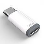 INF Lightning (female) to USB-C (male)
