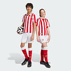 Adidas Olympiacos FC Anniversary Shorts (Junior)