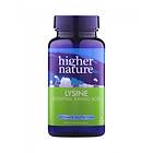 Higher Nature Lysine 500mg 90 Tablets