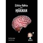 Lätta fakta om hjärnan