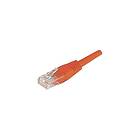 Dexlan UTP Cat6 RJ45 - RJ45 1m