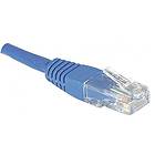 Dexlan CCA UTP Cat6 RJ45 - RJ45 15m