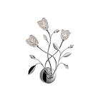 Firstlight Capsule Cindy (3L)