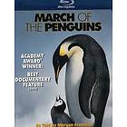 March of the Penguins (US) (Blu-ray)