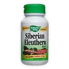 Natures Way Siberian Eleuthero 180 Kapslar
