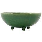 House Doctor Diva Ceramic Bowl 12x4.5 cm Green