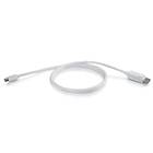 C2G DisplayPort - DisplayPort Mini 2m