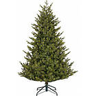 Enne Noble-fyr 185cm