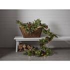 Star Trading 612-99 Girlang 3m