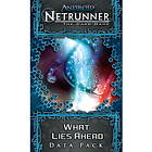 Android: Netrunner - What Lies Ahead (exp.)