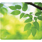 Fellowes Recycled Earth Series Leaves