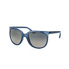 Ray-Ban RB4126 Cats 1000