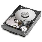 Fujitsu S26361-F3244-L514 146GB