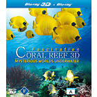 Coral Reef - Mysterious Worlds Underwater (3D) (UK) (Blu-ray)
