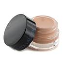 Estee Lauder Pure Color Stay on Shadow Paint 5g