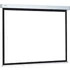 Projecta ProScreen CSR Manual Matte White 1:1 109" (195x195)