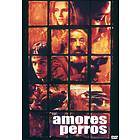 Amores Perros: Älskade Hundar (DVD)