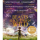 Beasts of the Southern Wild (Blu-ray)