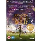 Beasts of the Southern Wild (UK) (DVD)