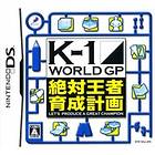 K-1 World GP (DS)