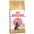 Royal Canin Breed Maine Coon 36 Kitten 2kg