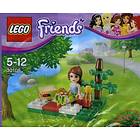 LEGO Friends 30108 Summer Picnic