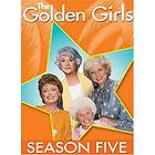 Golden Girls - Season 5 (US) (DVD)