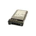 Dell A4645852 300GB