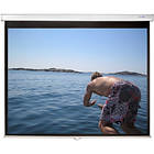 Sapphire AV Manual Matt White 4:3 72" (146x110)