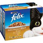 Purina Felix Adult Chunks in Jelly Poultry Selection 12x0.1kg