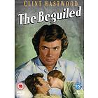 The Beguiled (UK) (DVD)