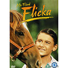 My Friend Flicka (UK) (DVD)