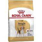 Royal Canin BHN Beagle 3kg