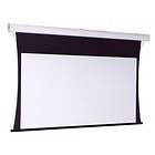 Screen International Compact Matte White 1:1 139" (250x250)